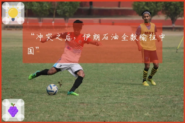 “冲突之后，伊朗石油全数输往中国”